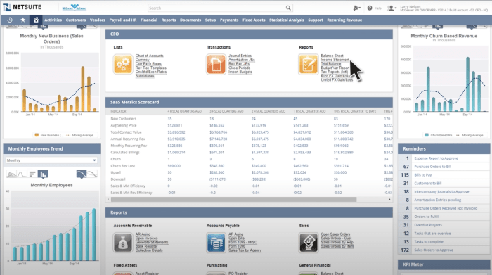Creating a New Account in NetSuite | Kolleno Creating a New Account in NetSuite | Kolleno