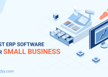 The Best ERP for Small Business: Top Solutions for 2025