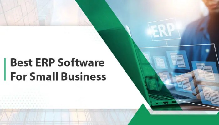 Top 10 ERP Software for Small Business in 2024 | EVS Blogs Top 10 ERP Software for Small Business in 2024 | EVS Blogs
