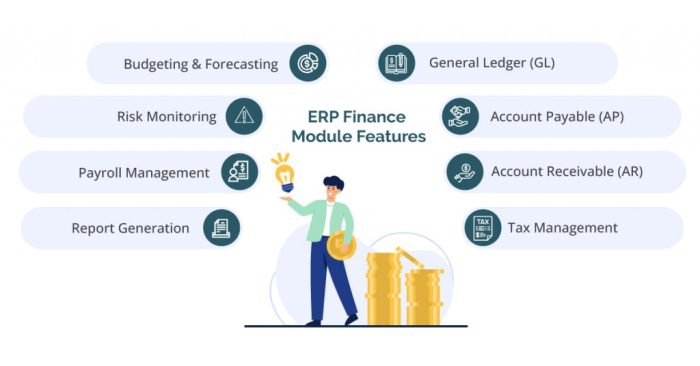 8 Best ERP system for Financial Management | RheinBrücke 8 Best ERP system for Financial Management | RheinBrücke