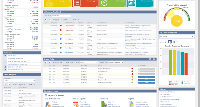 NetSuite ERP: precios, funciones y opiniones