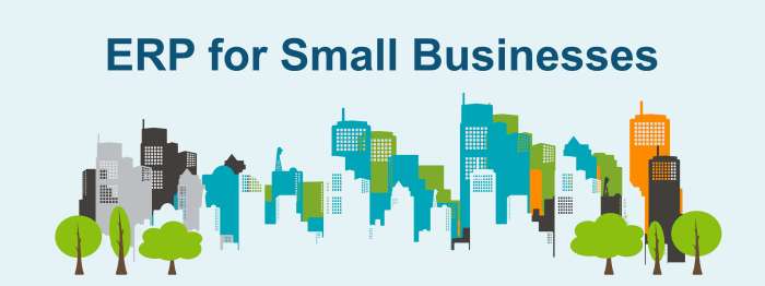6 Best ERP Systems For Small Businesses - InvoZone 6 Best ERP Systems For Small Businesses - InvoZone
