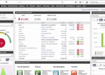 Distribution ERP Software: 10 Best Choices for 2024